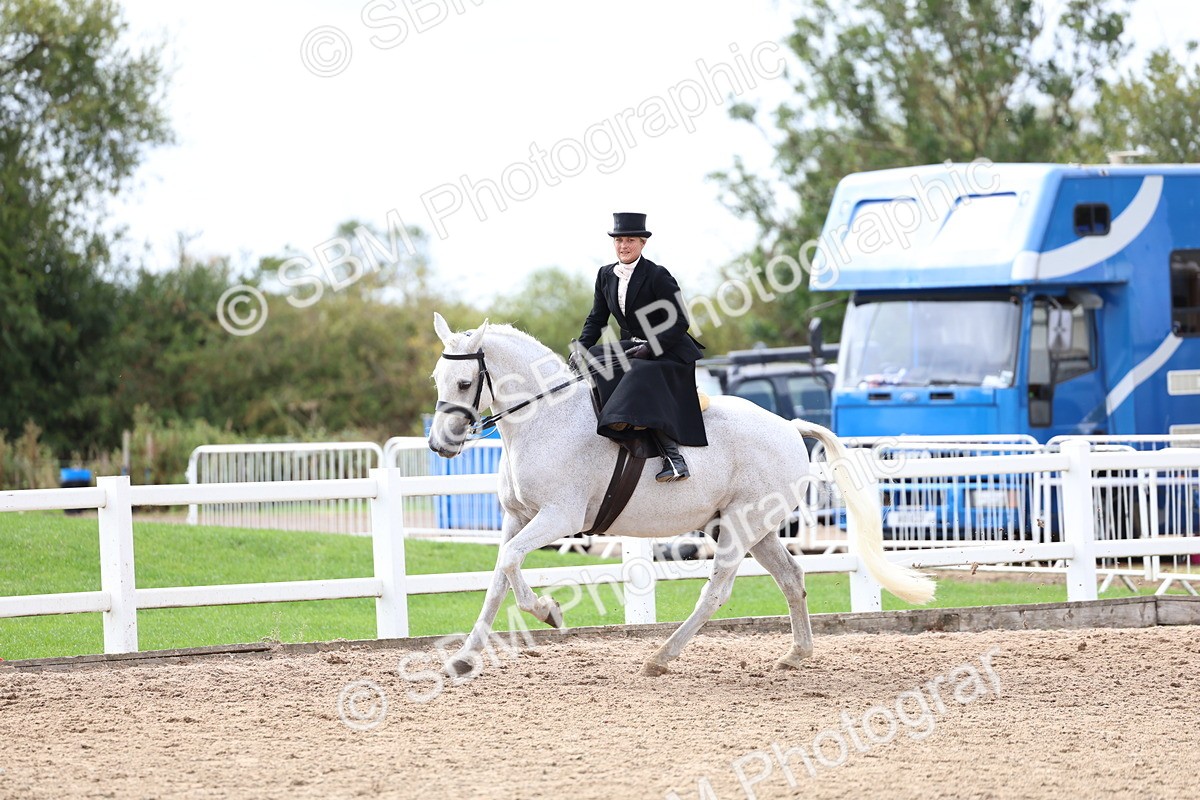 SBM_03426 - Class 24 - SSA Concours d'elegance (any age)