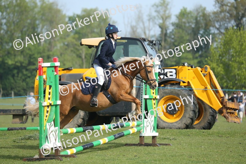 20260426-0155 - Class 13 - Rookie Jumping 50cm