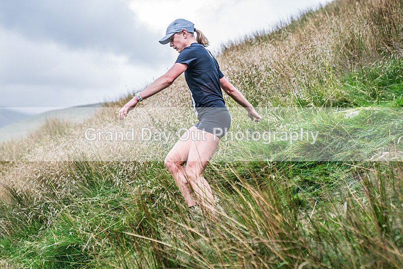 Steel Fell-617 - Steel Fell Race Wednesday 7th August 2024