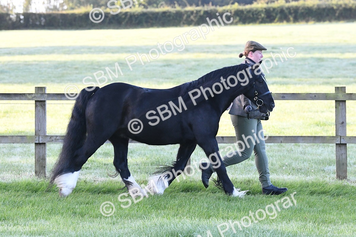 SBM_32567 - S15 - Condition & Turnout In Hand