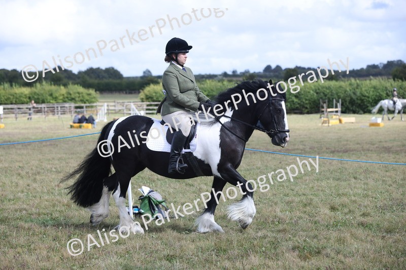 20250831-4176 - Class 20 - Ridden Coloured