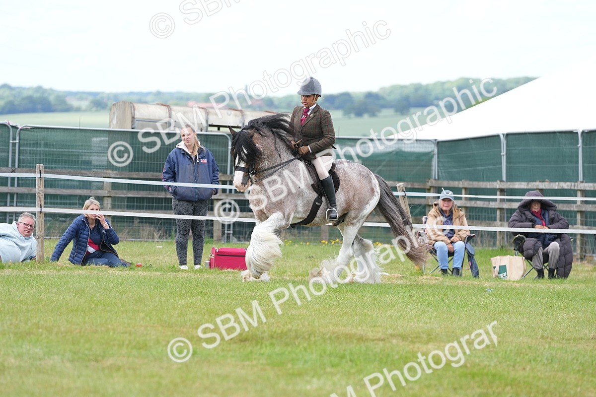 SBM_17209 - Class 107-108 - LIHS BSPS Performance Coloured Horse Pony