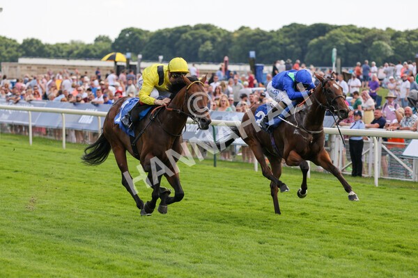 yr08072022r4-16 - Race 4 3.50pm William Hill Pick Your Places Stakes