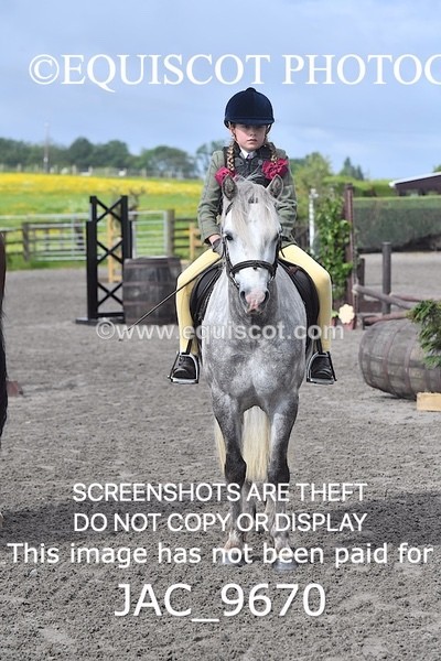 JAC_9670 - CLASS 1 Nursery Novice Working Hunter (0.50m)