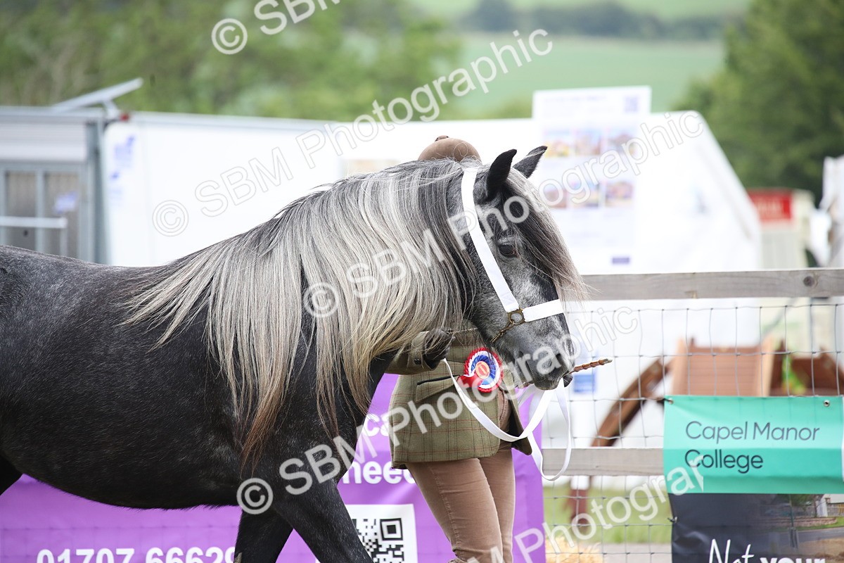 SBM_09730 - Ch 50 - Price Family Supreme In Hand