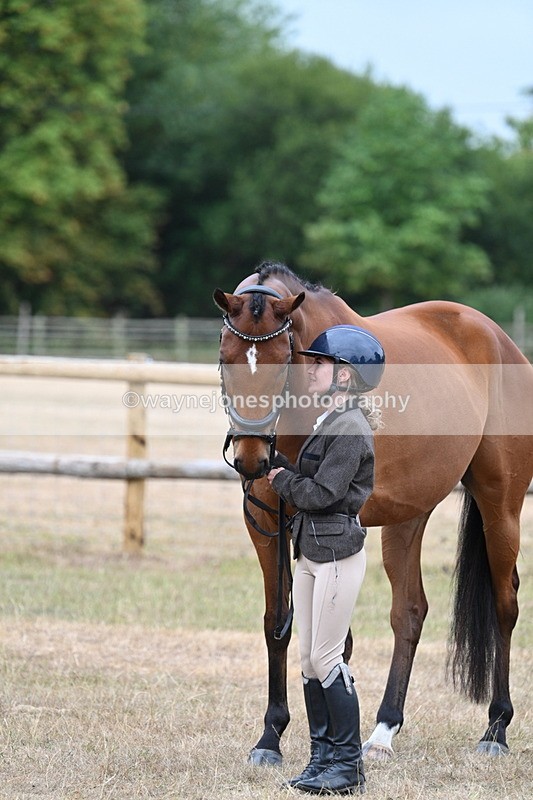 WJ7_9919 - Class 5a Most Handsome Gelding (above 14.2hh)