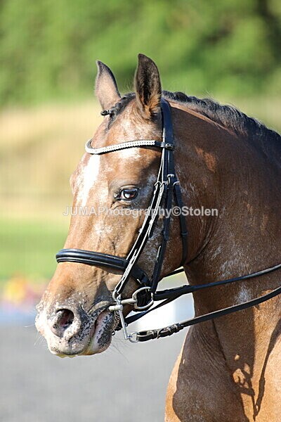 SIAL1513 - Saturday 16th 230pm till finish