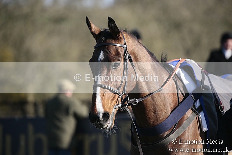 PtP 240218 627 - Vine & Craven Hunt Point-to-Point Barbury racecourse 24/02/18