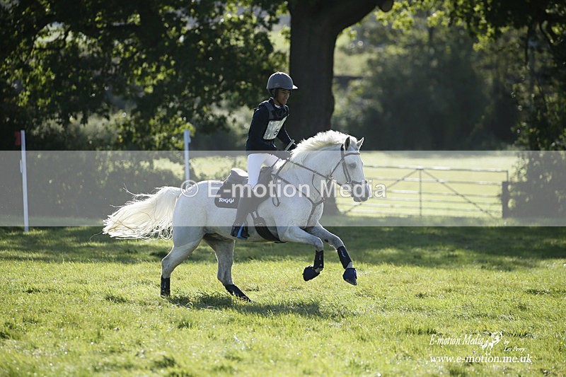 WWHT 031021 767 - Novice Restricted (0.80m) 03/10/21
