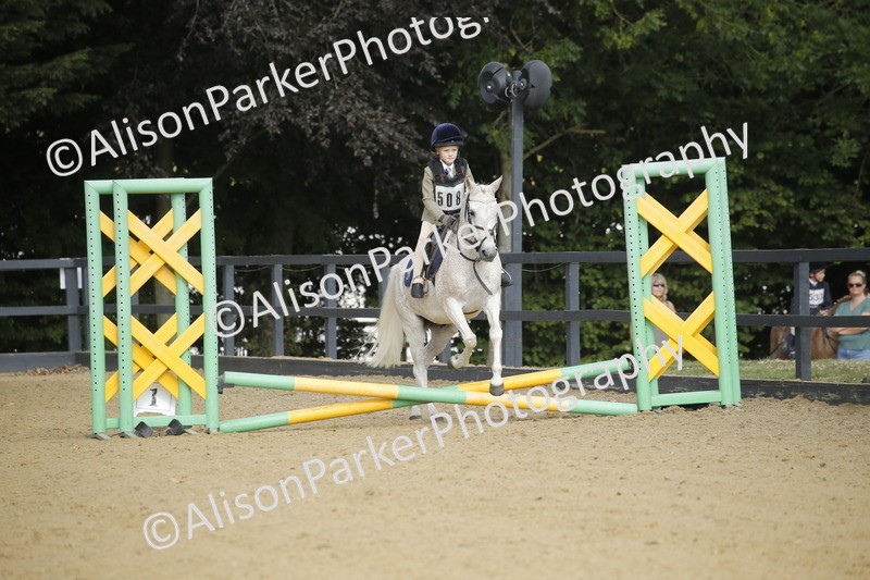 20250622-1223 - 40cm