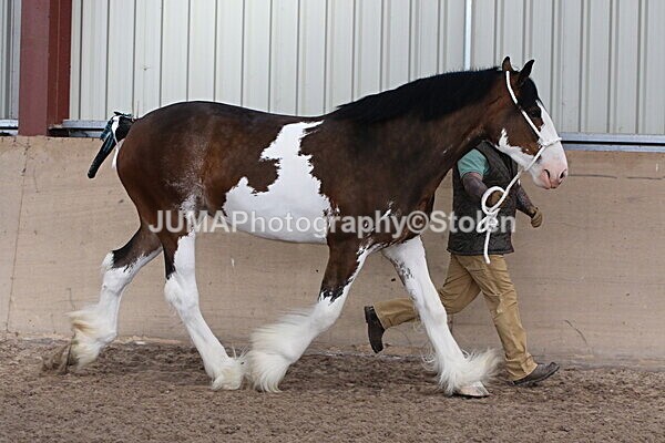 SIAL0218 - Indoor Classes