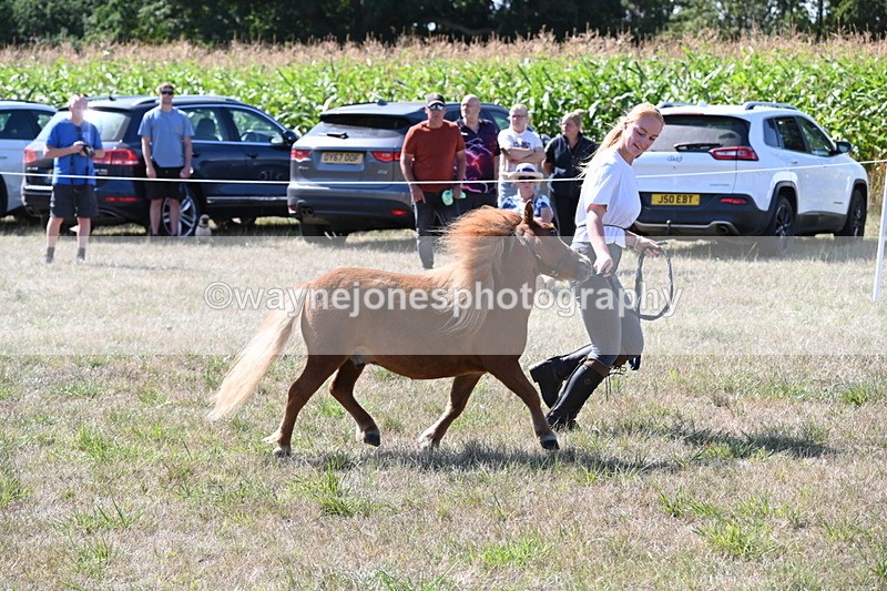 WJ6_4812 - Class 17 Mountain & Moorland