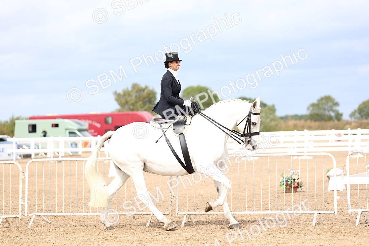 SBM_03413 - Class 24 - SSA Concours d'elegance (any age)