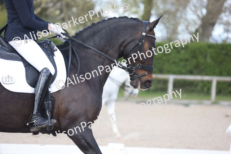 20260405-0886 - Class 9 - Advanced Medium 3