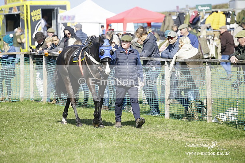 PtP 190322 336 - Wilton Hunt PtP Milborne St Andrew 19/03/22