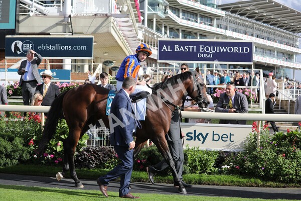 yr19082022r7-14 - Race 7 5.20pm Sky Bet Mile Stakes