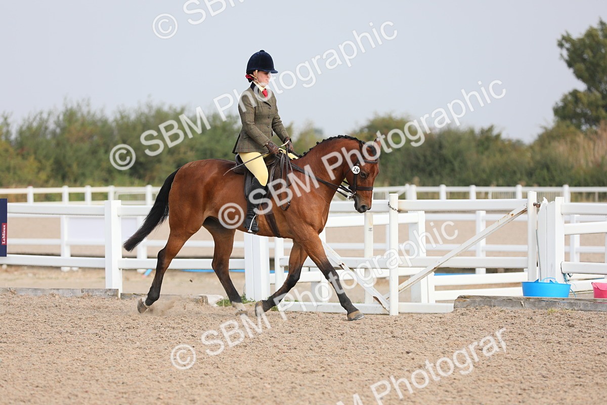 SBM_10868 - Class 304 Ridden Part Bred Horse/Pony