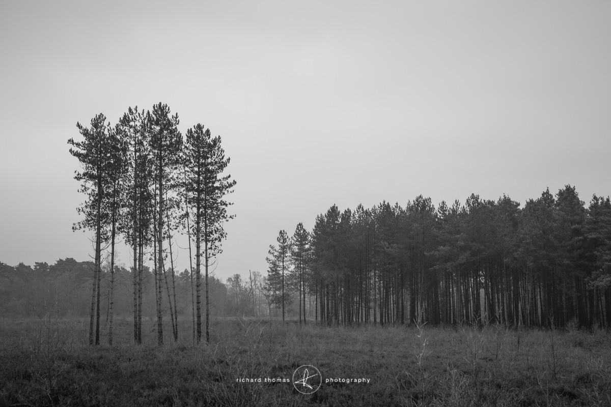 Bottle washers VIII - Bottlewashers