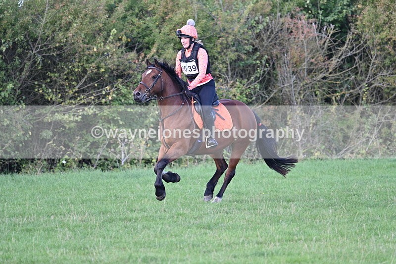 WJ7_1211 - Time 13:56 to 14:24