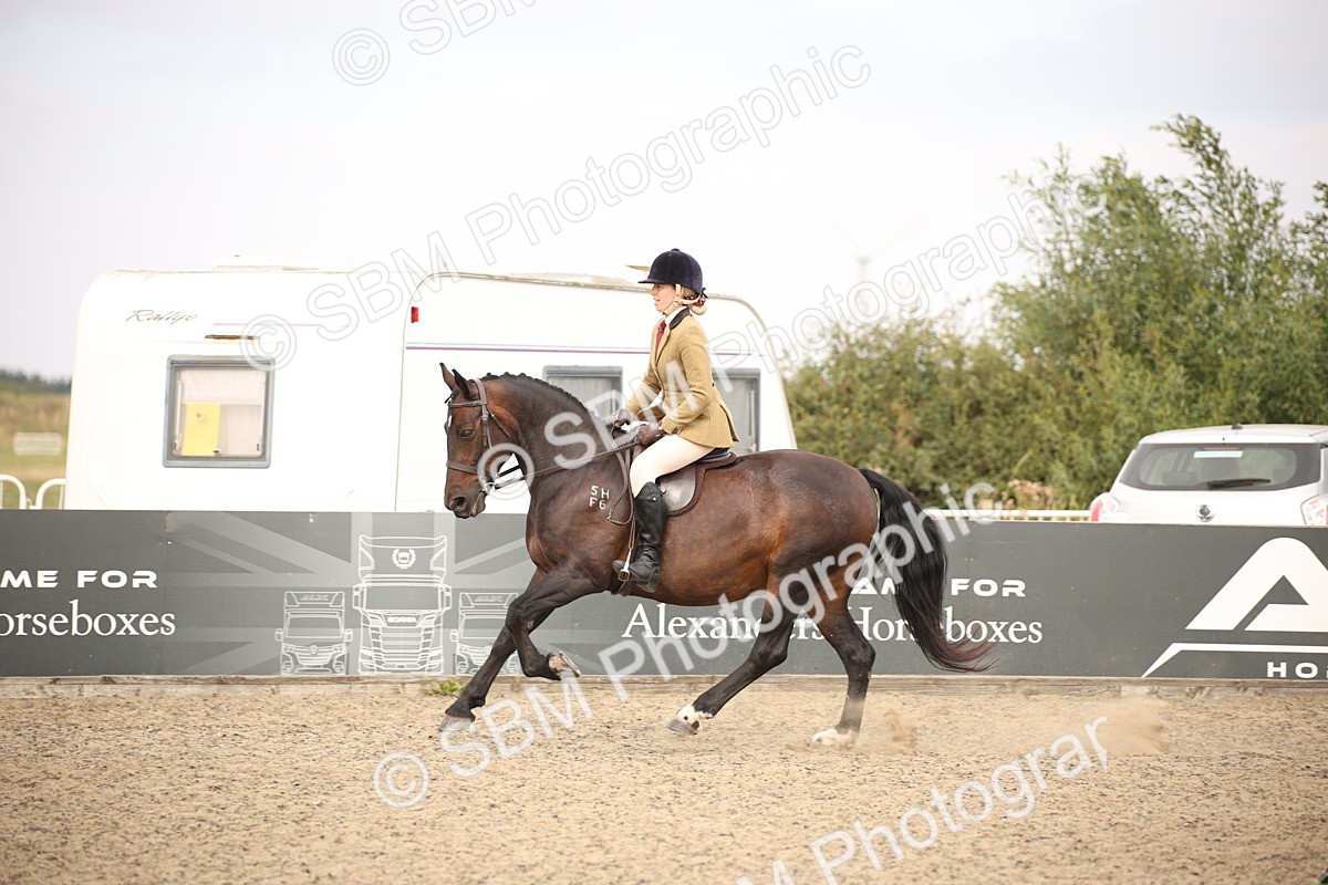 SBM_16217 - Class 409a - Working Veteran 80cm (15-19)