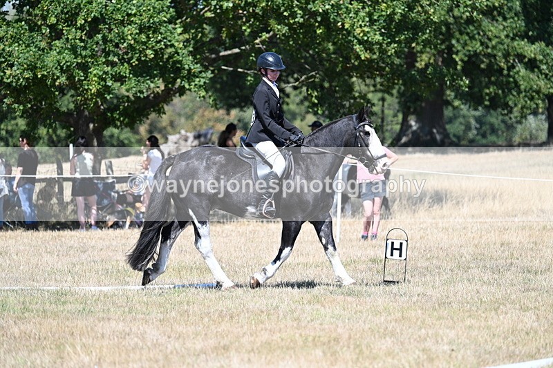 WJ7_0926 - Time 12:34 to 12:47