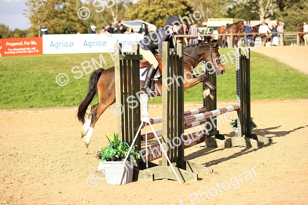 SBM_51831 - J10 - Junior Pony 75cm Championship