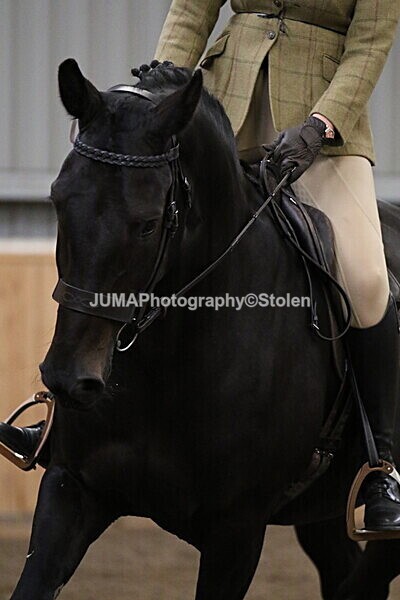 SIAL3219 - Sunday 14th Ridden
