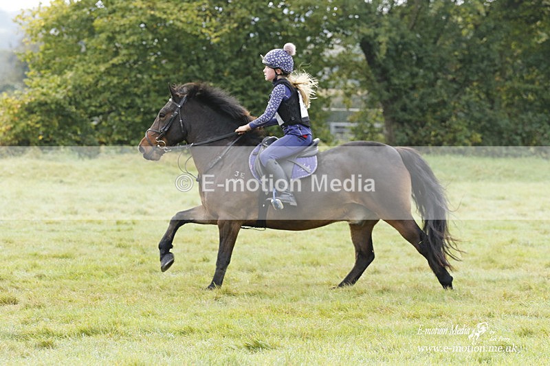  WWHT 171021 0975 - Open Novice (0.80m)  17/10/21