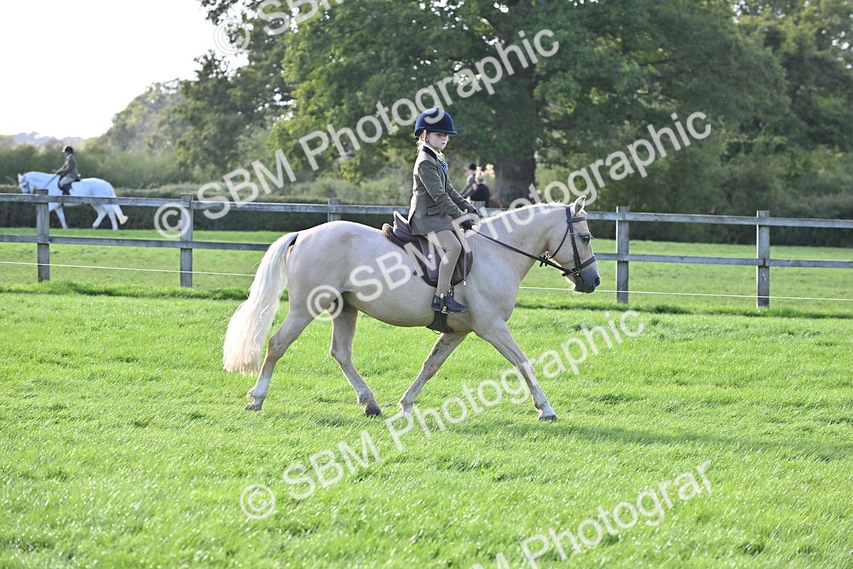 SBM_51218 - S22 - First Ridden show and show Hunter Pony