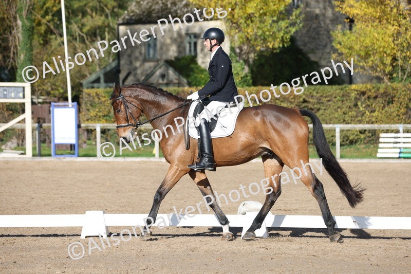 20251102-0650 - Class 4 - Novice 6