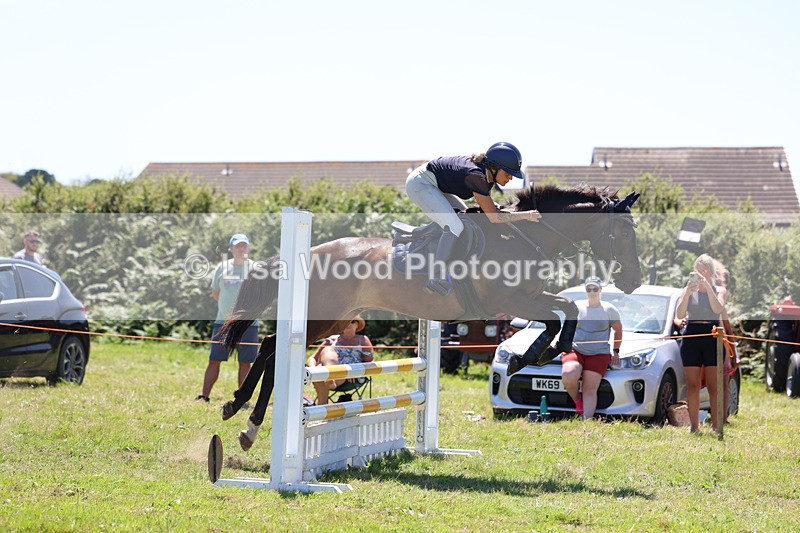3E7A5672 - Class 9: Senior British Novice/90cm open