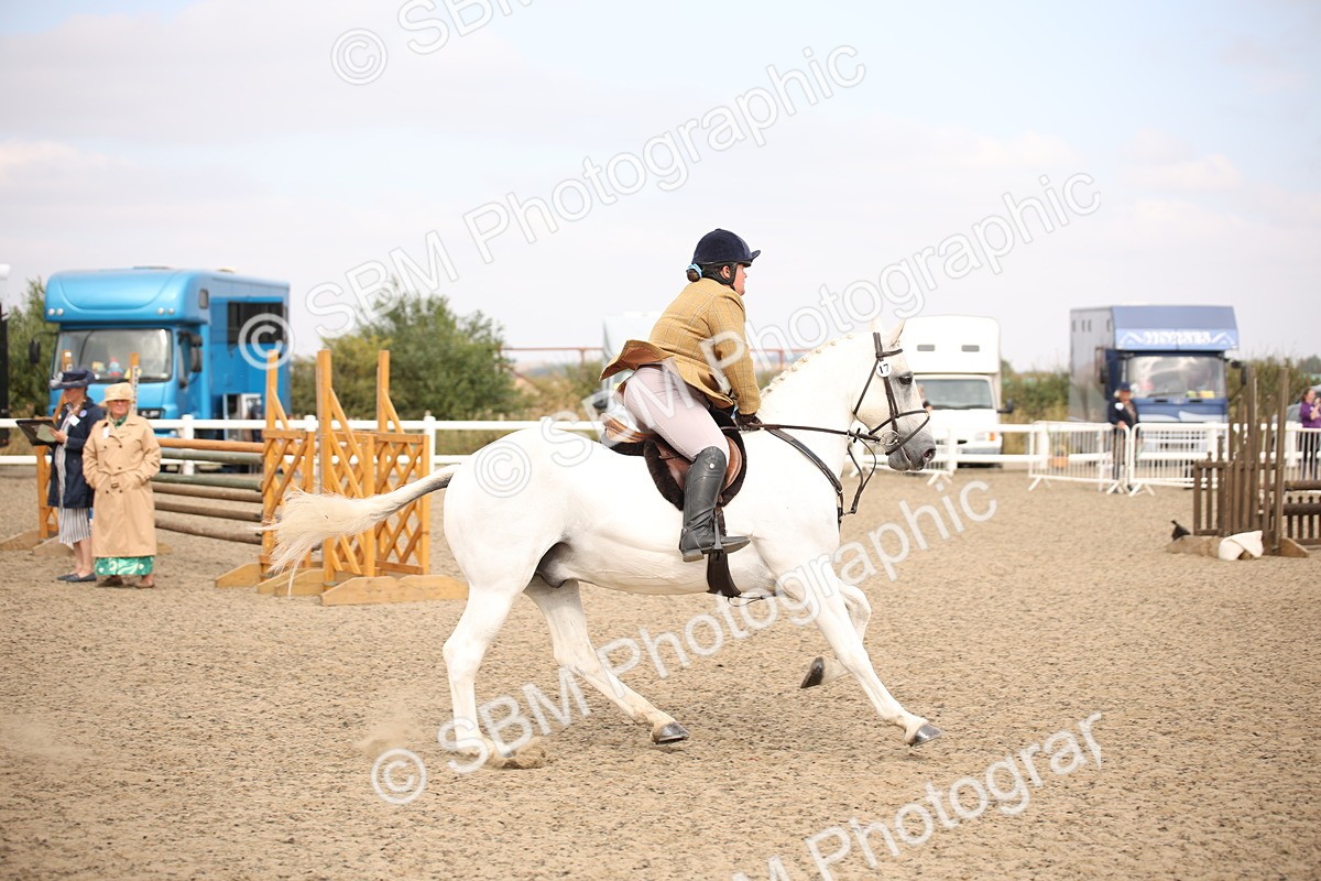 SBM_16146 - Class 409a - Working Veteran 80cm (15-19)