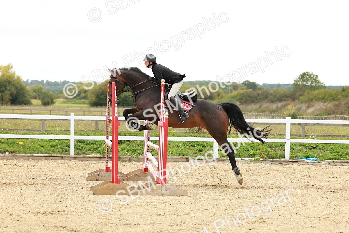 1I0A7034 - Class 2 - Senior British Novice