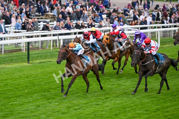 120724-Race 6-The Coffee Pod-6376 - Race 6 4.55pm Irish Thoroughbred Marketing Handicap