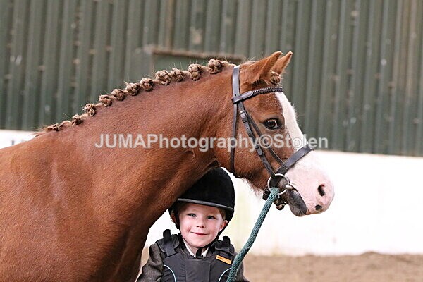 SIAL0593 - Small Arena - Saturday