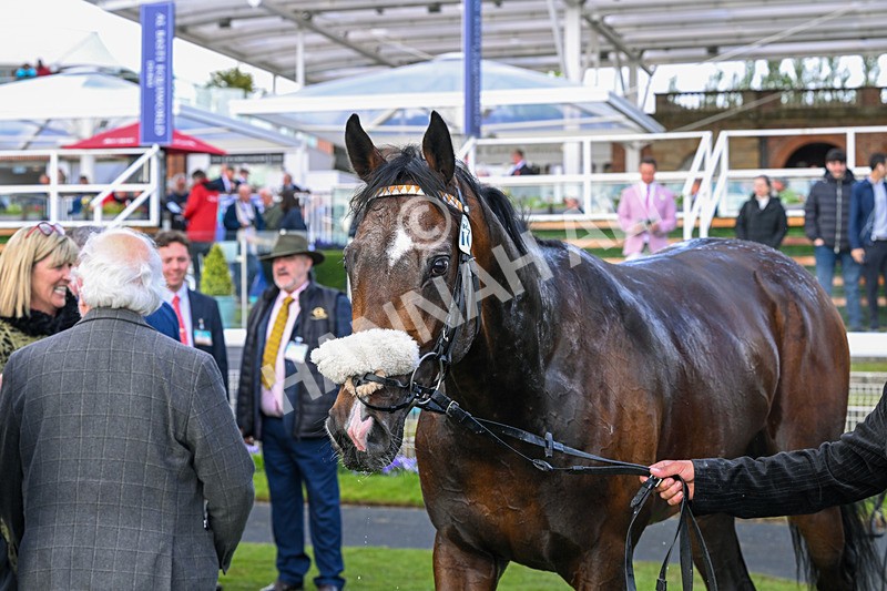 140526-Race 7-Arc Ole Ole-6314 - Race 7 5.15pm Frank Whittle Partnership Handicap