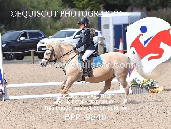 BPP_9840 - CLASS 3 Derby Show Jumping 40CM