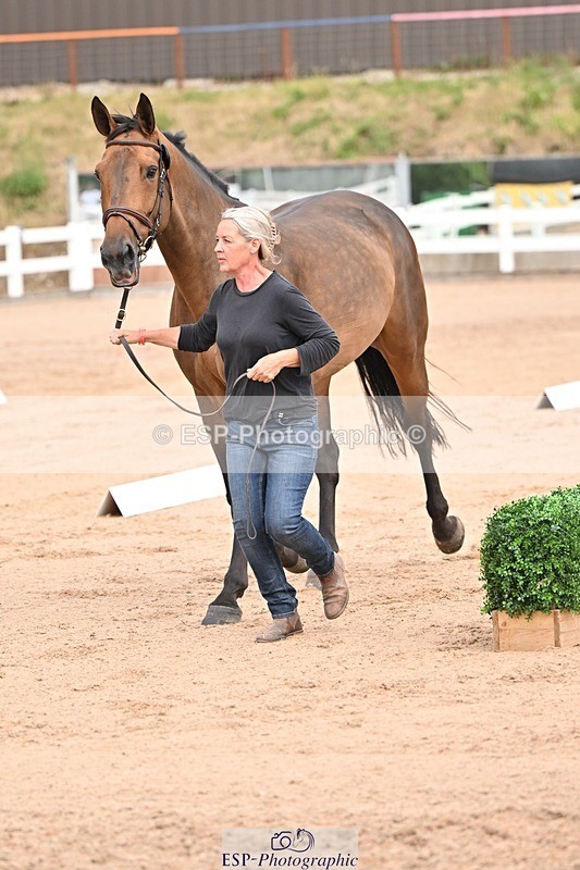 250716-150616-01623 - Trot Up 2.30 to 3.30