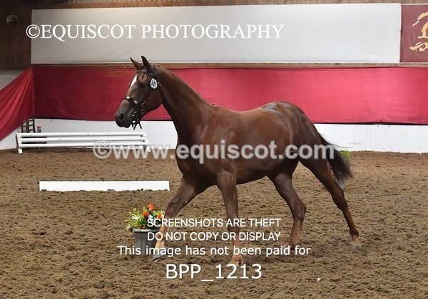 BPP_1213 - MORNING 9AM - 12PM