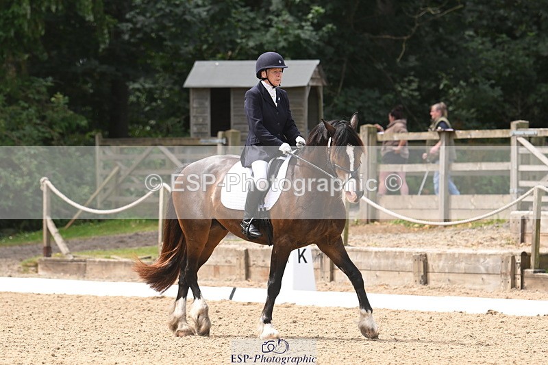 250720A-115817-10097 - 079-Amanda.Williams-Llanarth.Westminster