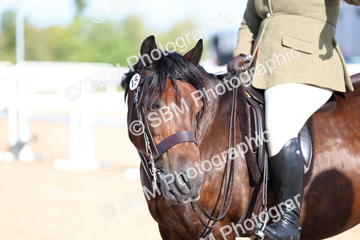SBM_08918 - Class 302 - Ridden M&M - Large Breeds