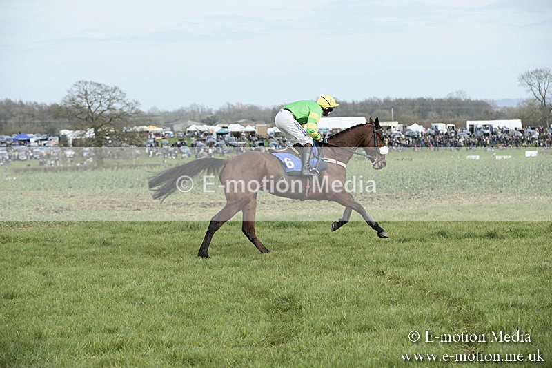 PtP 230319 273 - VWH Hunt Siddington Point-to-Point Racing 23/03/19