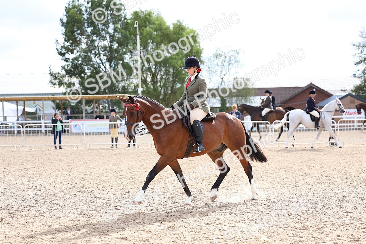 SBM_10057 - Class 304 - Ridden Part Bred Horse Pony
