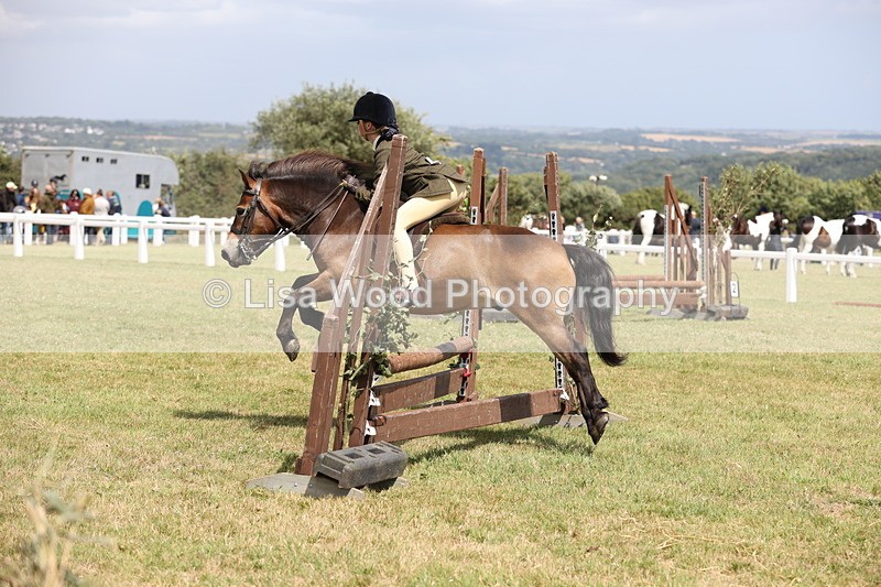 JPP_2032 - Class 19: Working Hunter 60cm