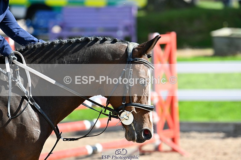 240913A-121116-04037 - Cls 22 85cm Amateur Qualifier