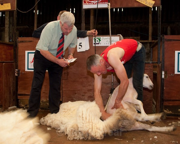 23 - Shearing Competition