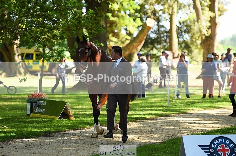 230524-154522-00473 - 365-BWE_NEWTON_DE_JASPER-Adam_Harvey-WEDTrotUp+DR