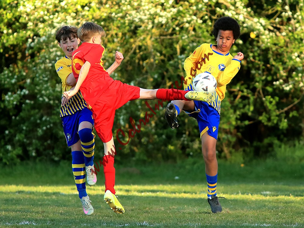 0123_1DXL - Farnborough OBG Under 13s Mustangs 0  Tulse Hill U13s 0