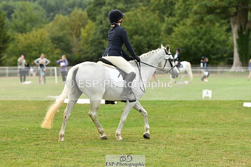 250820A-121812-05550 - 12 to 13.00