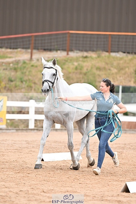 250716-155413-02259 - Trot Up 3.30 to 4.30